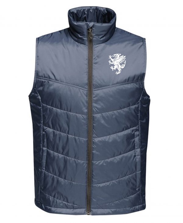 Somerset CCC Gilet